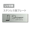 yApexŔzqXeXr yV[[ Shower v[gi`jzW160mm~H40mm yʃe[vtzXeXhAv[ghAv[g v[g Ŕstrs-prt-253