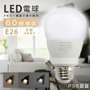 ڥå㤨LEDŵ 60W 9W E26 ľ60mm̵ʳĴ ̵ʳĴ   ŵ忧 Ra80ʾ 鿧 굡ǽ ٤ߥޡ 30ʬޡ 60ʬޡ  ʥ PSEǧں ⥳ led-9saפβǤʤ1,780ߤˤʤޤ