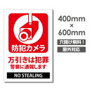 『APEX看板』 W400mm×H600mm 防犯『防犯カメラ作動中』視線でドキ 看板 プレート看板 防犯カメラ 監視カメラ 通報 カメラ作動中 カメラ カメラ録画中パネル看板 camera-252