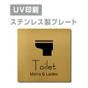 yApexŔzqXeXryMenfs  Ladies Toilet v[gi`jzW150mm~H150mm yʃe[vtzXeXhAv[ghAv[g v[gŔ strs-prt-148