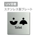 yApexŔzqXeXryjEgC Toilet v[gi`jzW150mm~H150mmyʃe[vtzXeXhAv[ghAv[g v[gŔ strs-prt-176