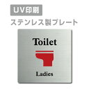 yApexŔzqXeXr yLadies Toilet v[gi`jzW150mm~H150mm yʃe[vtzXeXhAv[ghAv[g v[gŔ strs-prt-39