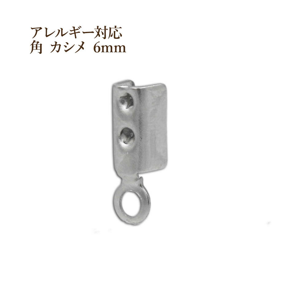 [10個] サージカル ステンレス 角 カシメ 6mm [ 銀 シルバー ] 紐留め 革紐 ヒモ パーツ アレルギー対応