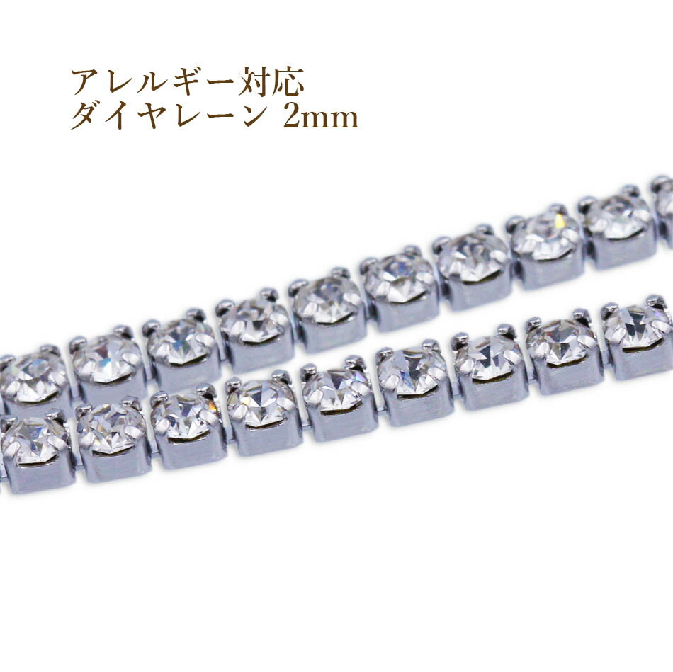 [1m×1本] サージカルステンレス ダイヤレーン 2mm [ 銀 シルバー ] C2-05 ラインストーン 切売り 連爪 ..