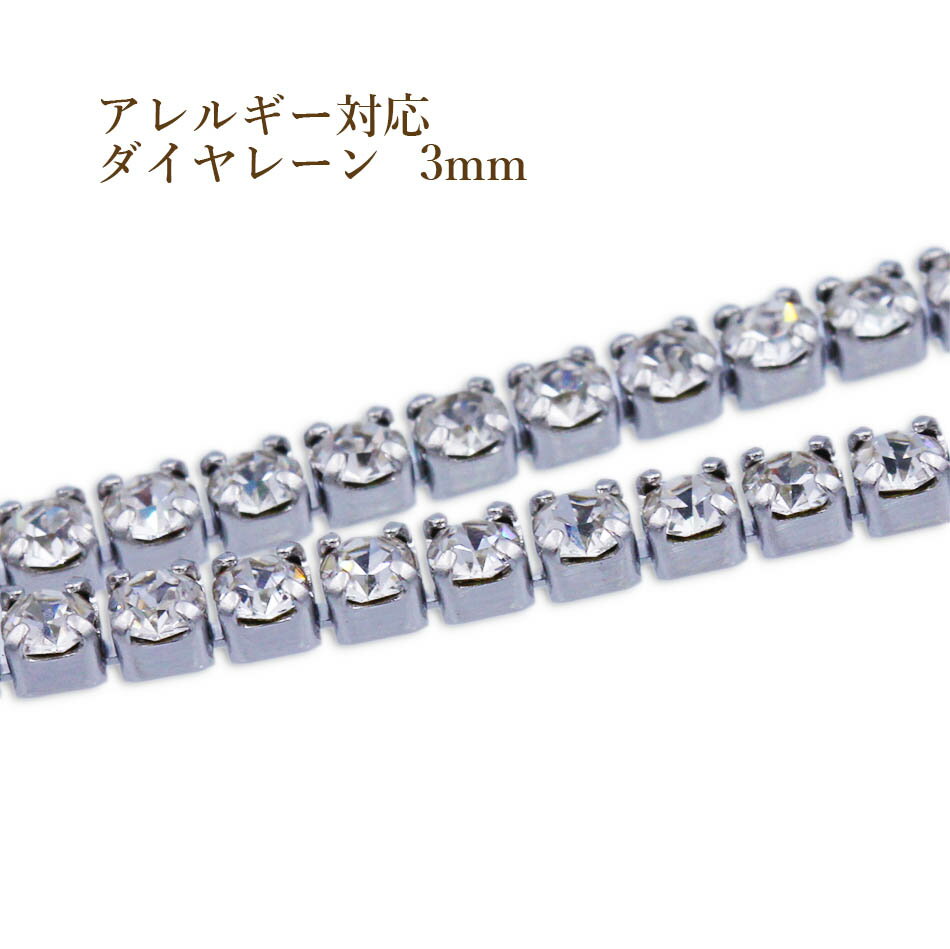 [50cm×1本] サージカルステンレス ダイヤレーン 3mm [ 銀 シルバー ] C2-05 ラインストーン 切売り 連..