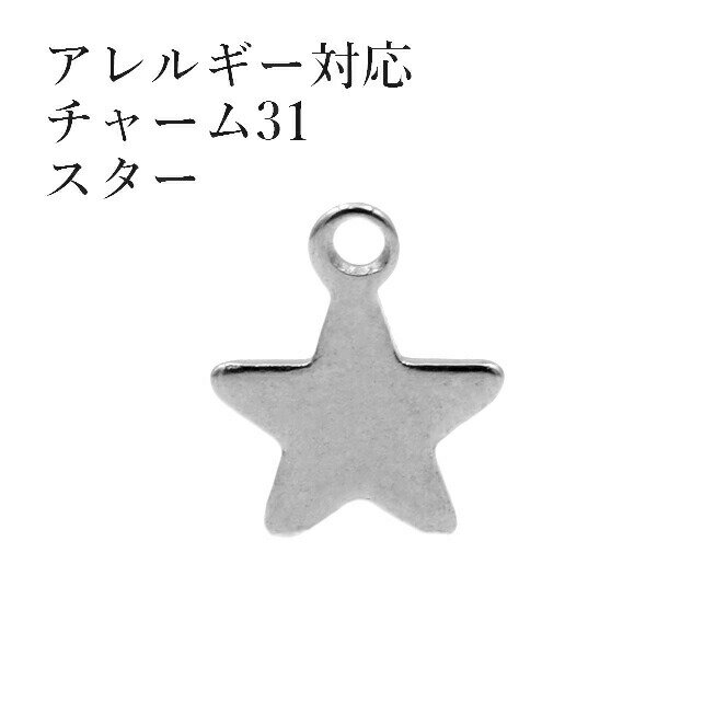 [10個] サージカルステンレス チャーム 34 平面 スター 星 [ 銀 シルバー ] パーツ 素材 金属アレルギ..