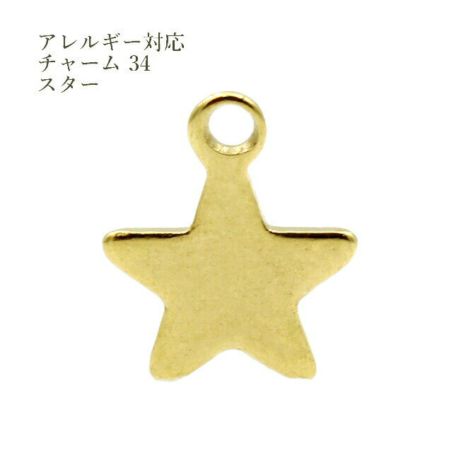 Rakuten - [5個] サージカルステンレス チャーム 34 平面 スター 星 [ ゴールド 金 ] パーツ 素材 金属アレルギー対応