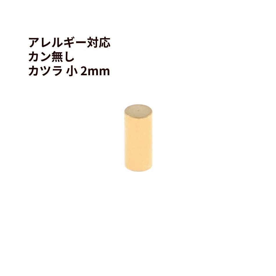 [ 20個 ] ［ カン無し ］ * カツラ * 小 2mm [ ゴールド 金 ] サージカルステンレス エンドパーツ 紐留め 革紐 金属アレルギー対応 M1-05