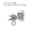  サージカルステンレス カン付き 立て爪 5mm ピアス ［ 銀 シルバー ］ キャッチ付き P2-02 パーツ 金アレ