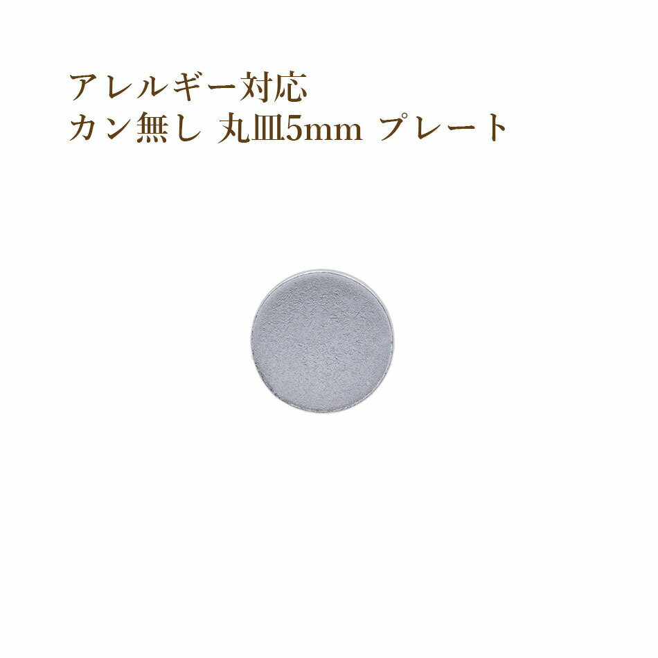 ［10個］ サージカル ステンレス カン無し 丸皿 プレート 5mm 銀 シルバー O-04 チャーム 金具 メタル ラウンド パーツ アレルギー対応