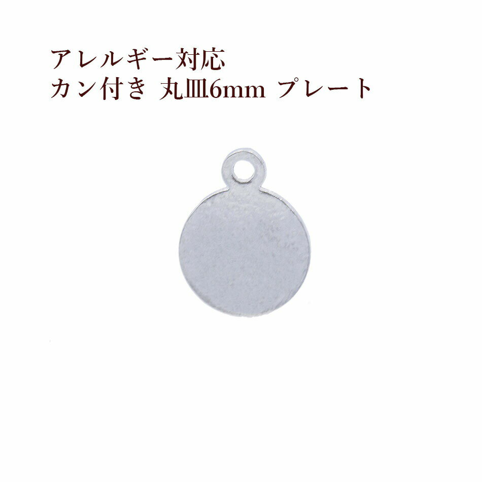 ［10個］ サージカル ステンレス カン付き 丸皿 プレート 6mm 銀 シルバー O-04 チャーム 金具 メタル ラウンド パーツ アレルギー対応