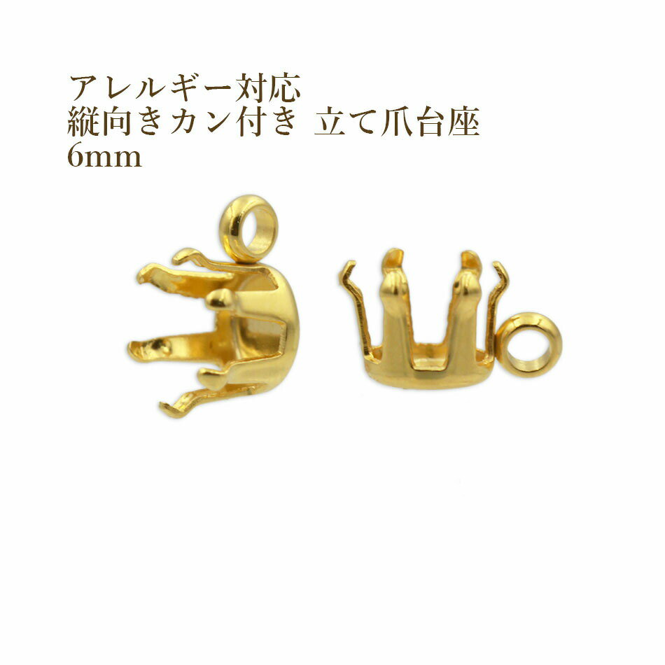 10ġ ĸ դ Ω  6mm    M2-04 륹ƥ쥹 ѡ °륮б