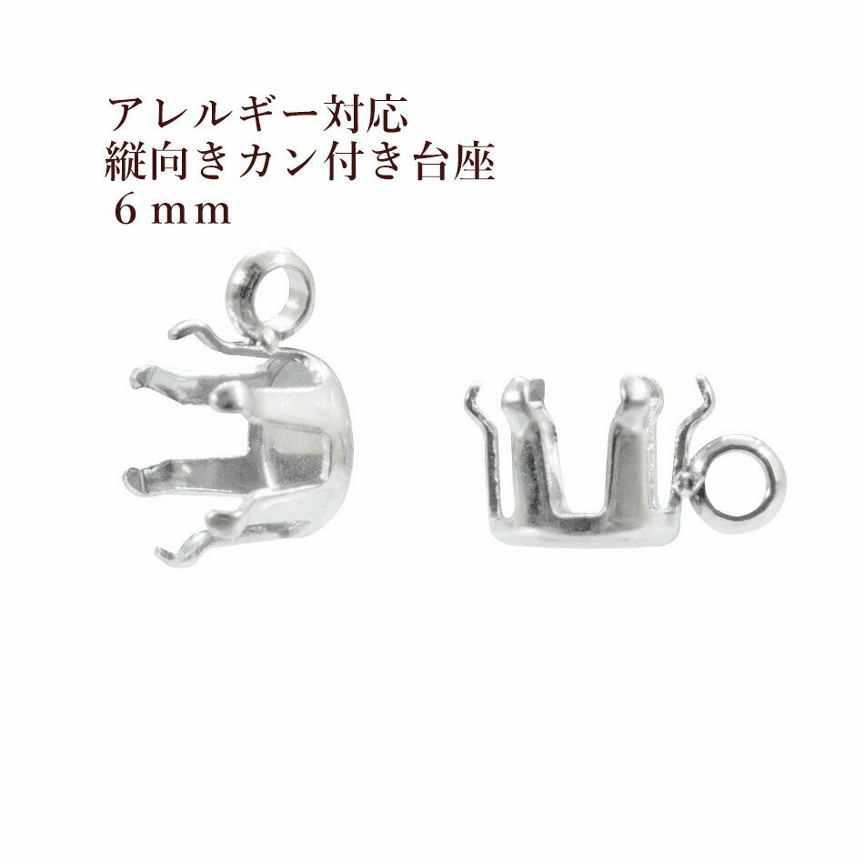 10ġ ĸ դ Ω  6mm  С  M2-04 륹ƥ쥹 ѡ °륮б