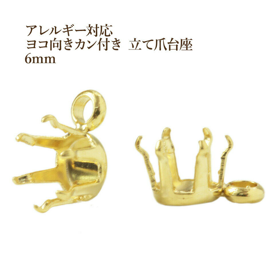 10ġ 襳 դ Ω  6mm    к  륹ƥ쥹 M2-04 ѡ °륮...