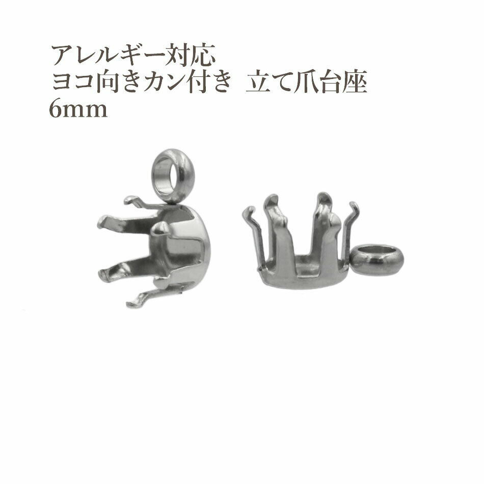 10ġ 襳 դ Ω  6mm  С  к  륹ƥ쥹 M2-04 ѡ °륮...