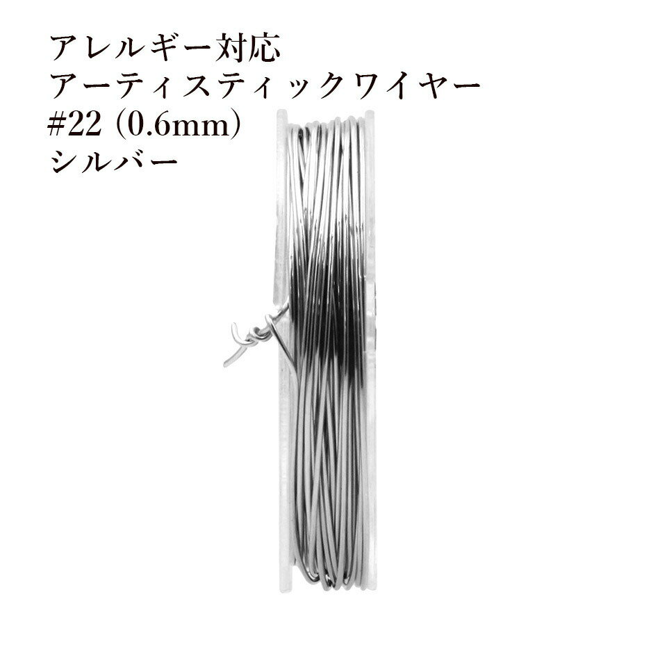  316 ［ 22G ］ アーティスティックワイヤー 0.6mm ［ 銀 シルバー ］ サージカルステンレス ワイヤーワーク ワイヤーアート アクセサリー パーツ M2-05