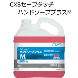 シーバイエス（CXS)業務用 殺菌・消毒手洗い石けん セーフタッチハンドソーププラスM 5L×2本