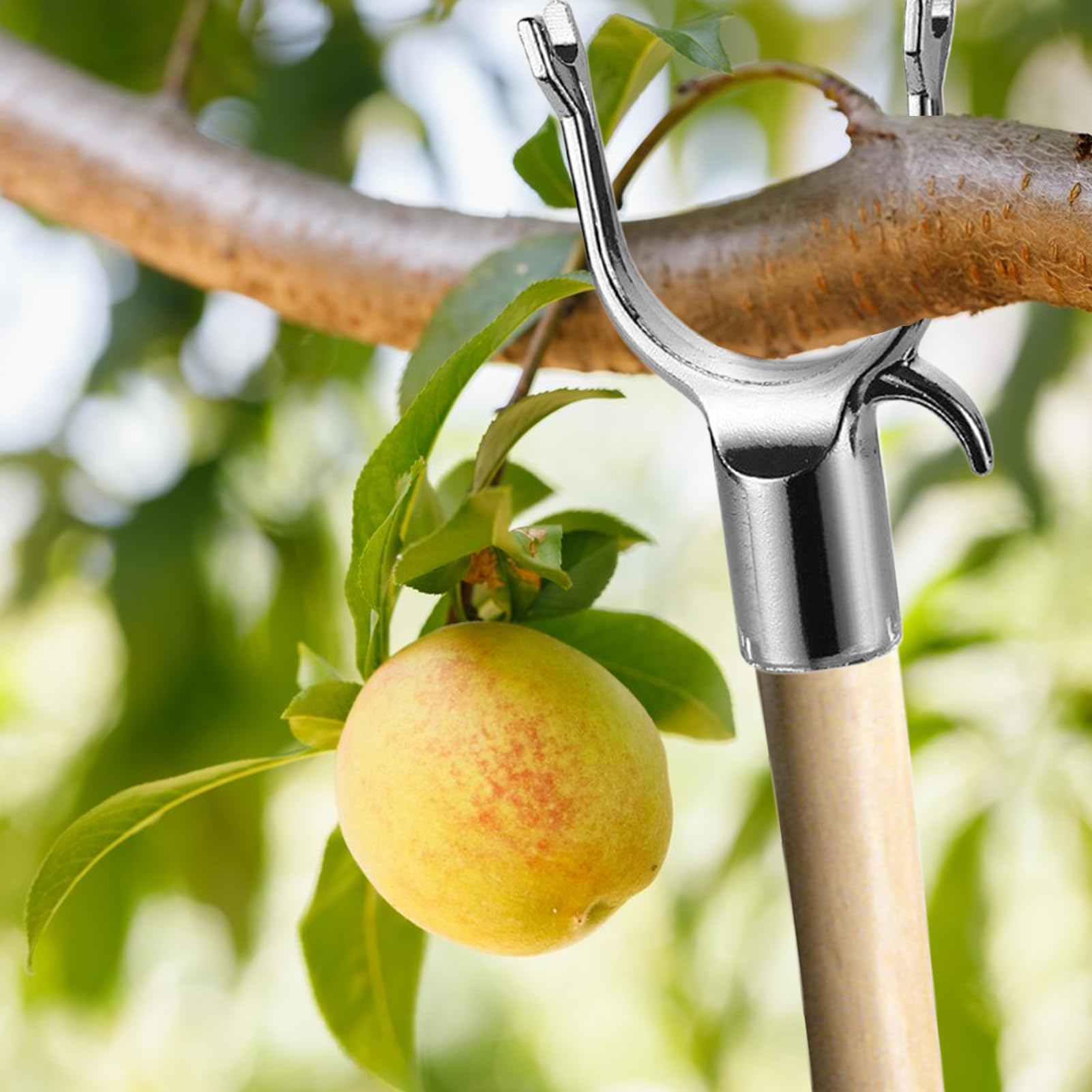 ツリー支柱サポート - ツリーサポートホルダー - 5点組 枝延長キット 鉢植え 苗 温室 頭重な花 トマト ブドウ バラの茂み