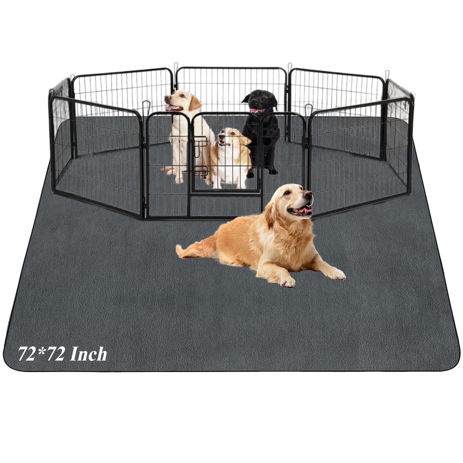 (ロライシック) ギニア 洗える 犬用