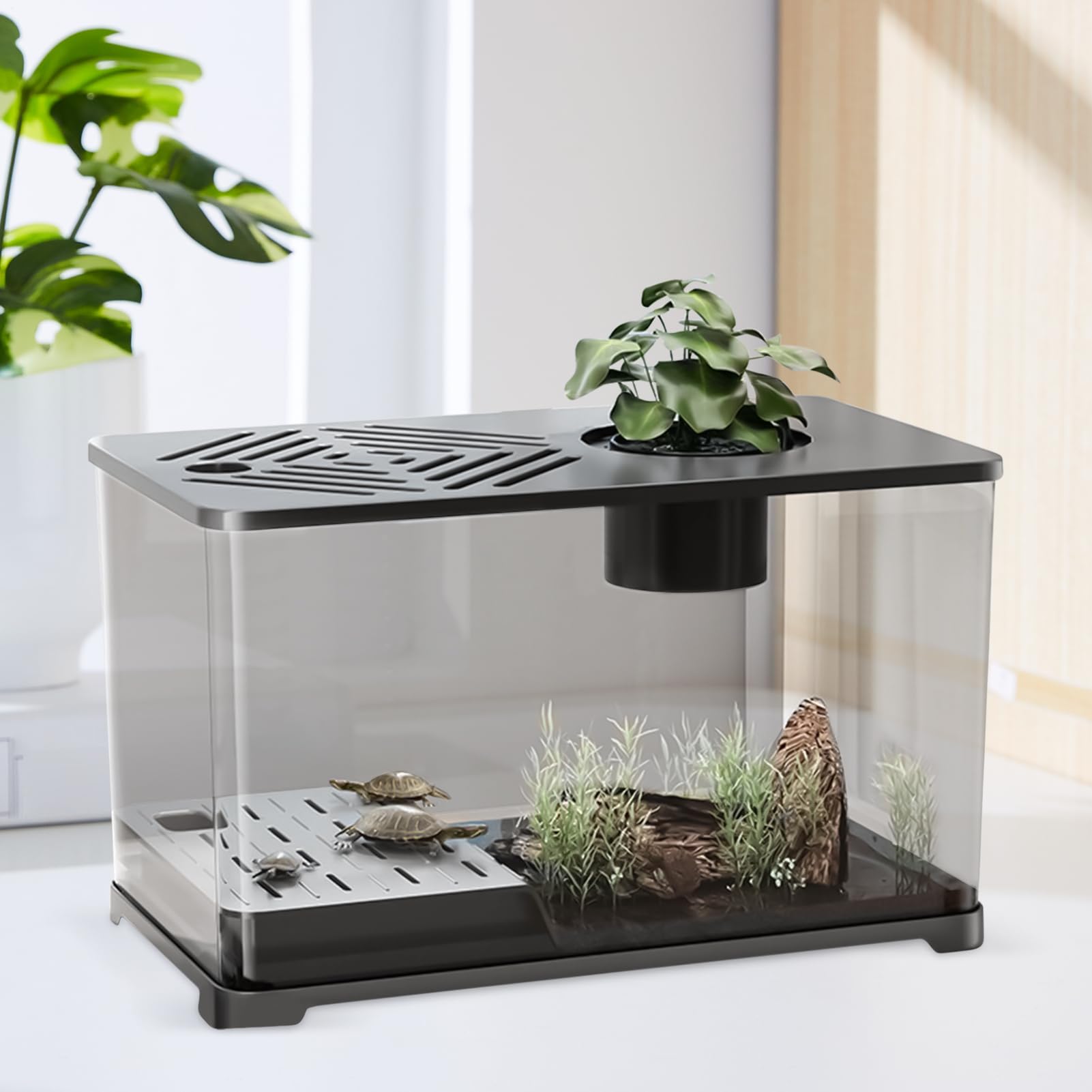 ベタ水槽 | 大型アクアリウム 金魚水槽 スターターキット - パノラマ コンテナ モダン ホームデコ オフ..