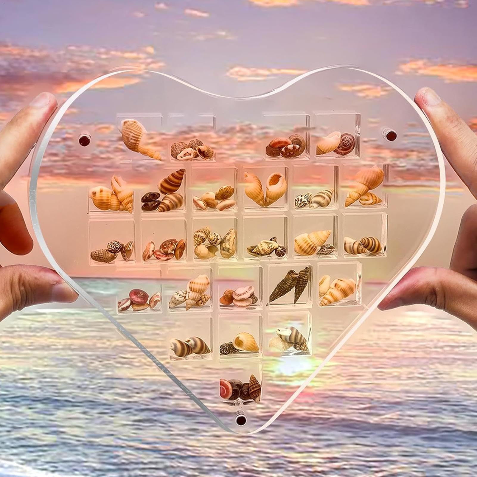 貝殻ディスプレイボックス、貝殻ディスプレイボックス, 貝殻展示用小型ディスプレイケース, 多用途の透明アクリルディスプレイケース、女性、職人、棚、ドレッシングテーブル用シェルボックス