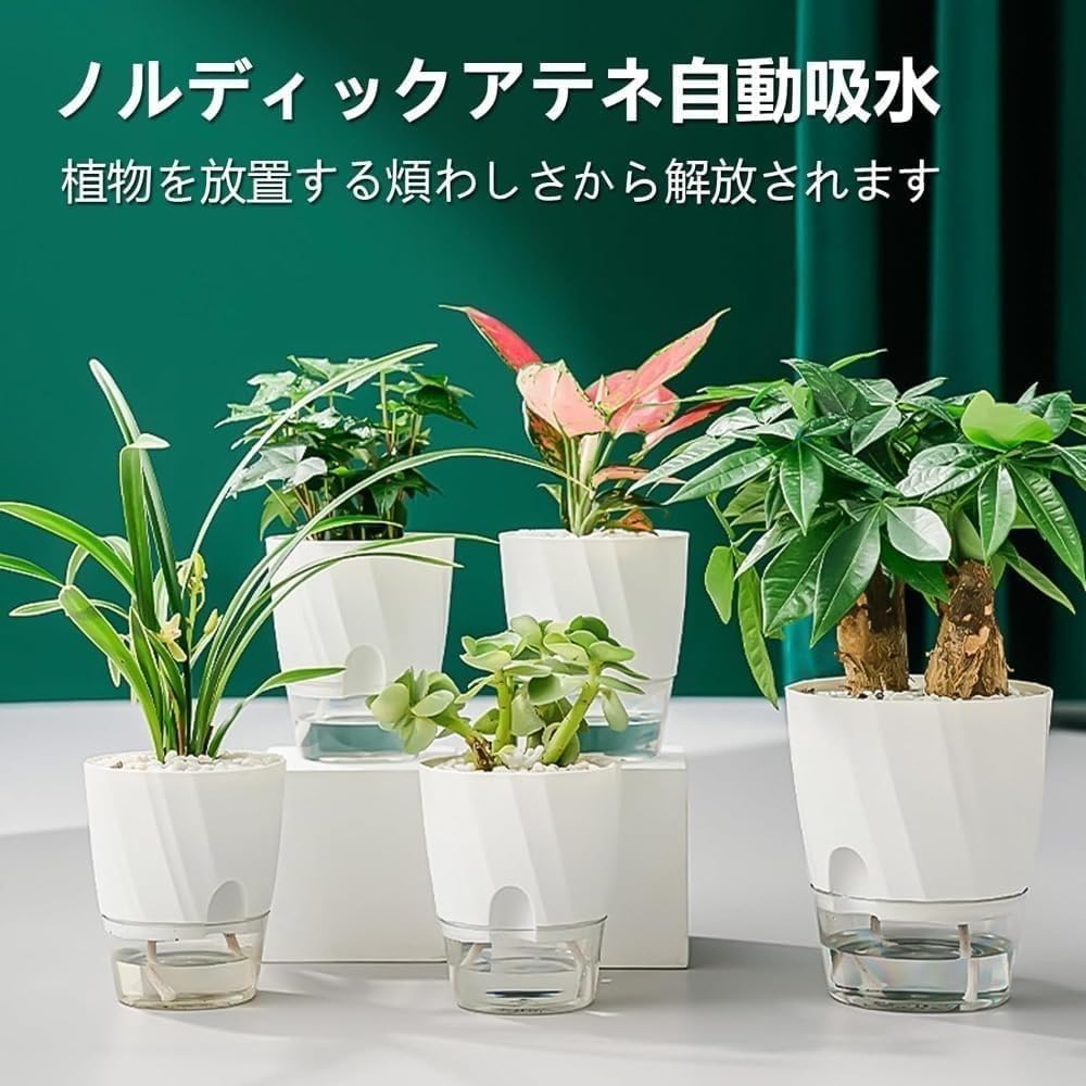 水耕栽培 観葉植物 ハイドロカルチャー 鉢 プラスチック プランター 底面給水鉢 自動給水 多肉植物鉢 ..