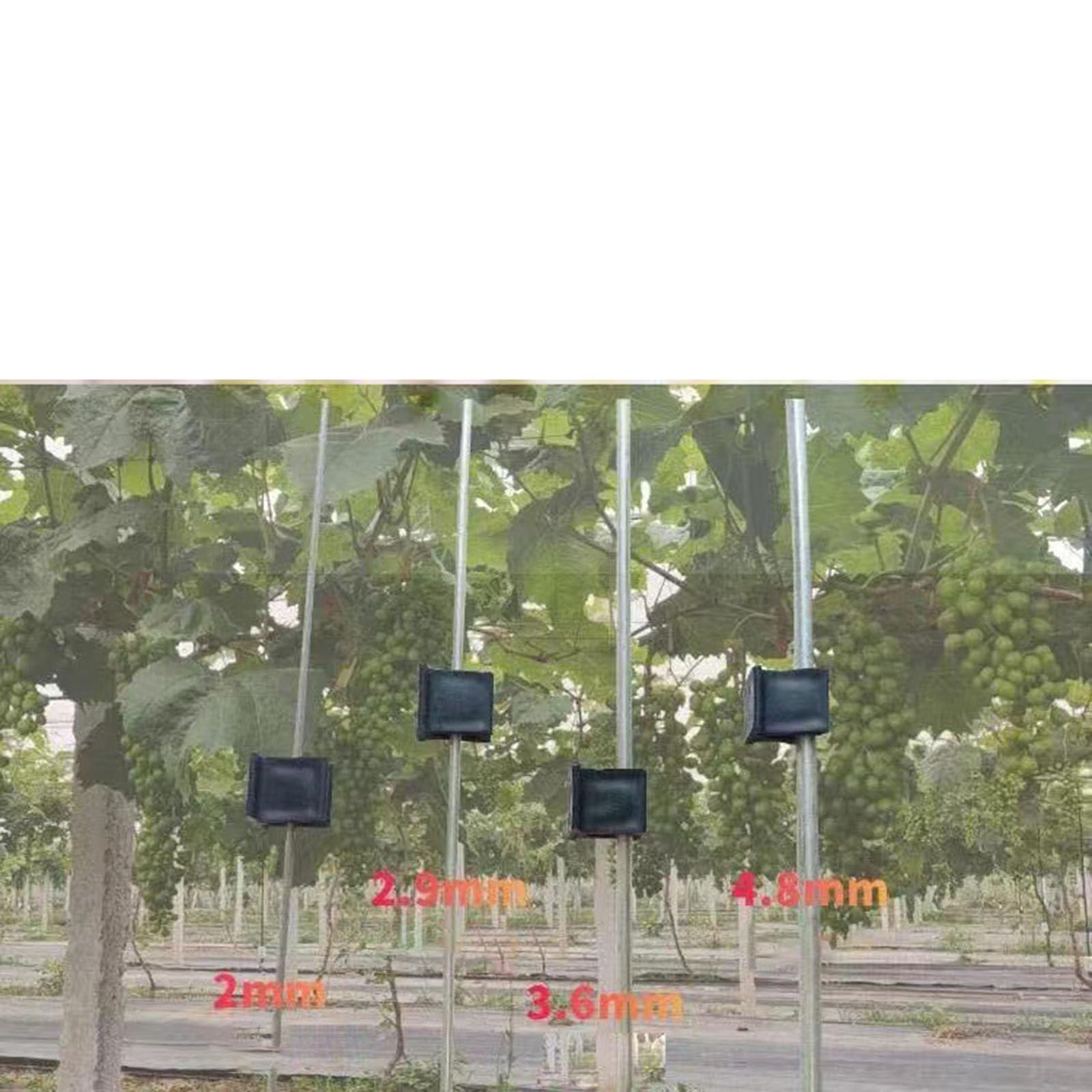 100ピース 温室クランプクリップ 温室植物クリップ 園芸用フィルムクリップ PP素材 植物用クリップ 温..