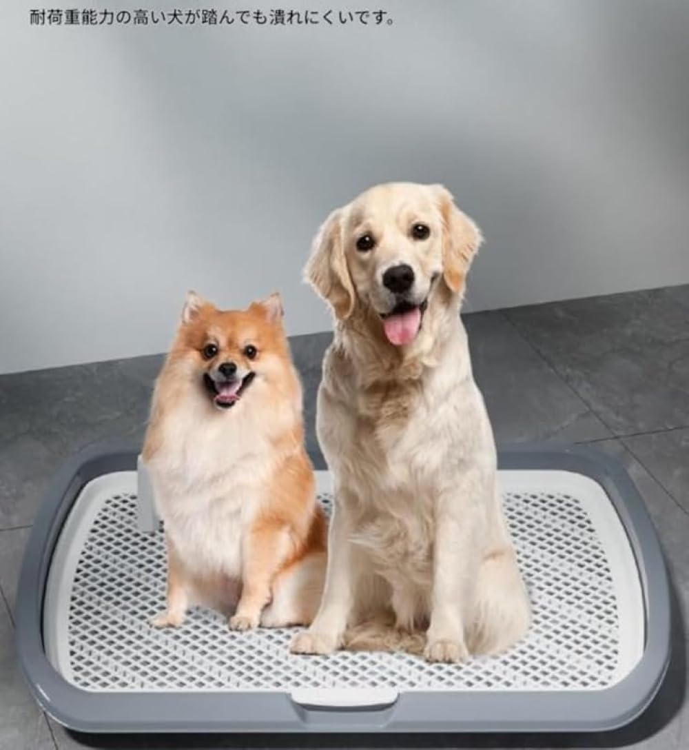 ペット用トレイ 柱付き アンチジャンプメッシュ トレーニング 歩行トレーニング 屋内/屋外 平板 飛沫防止 掃除が簡単 柱付き犬に最適