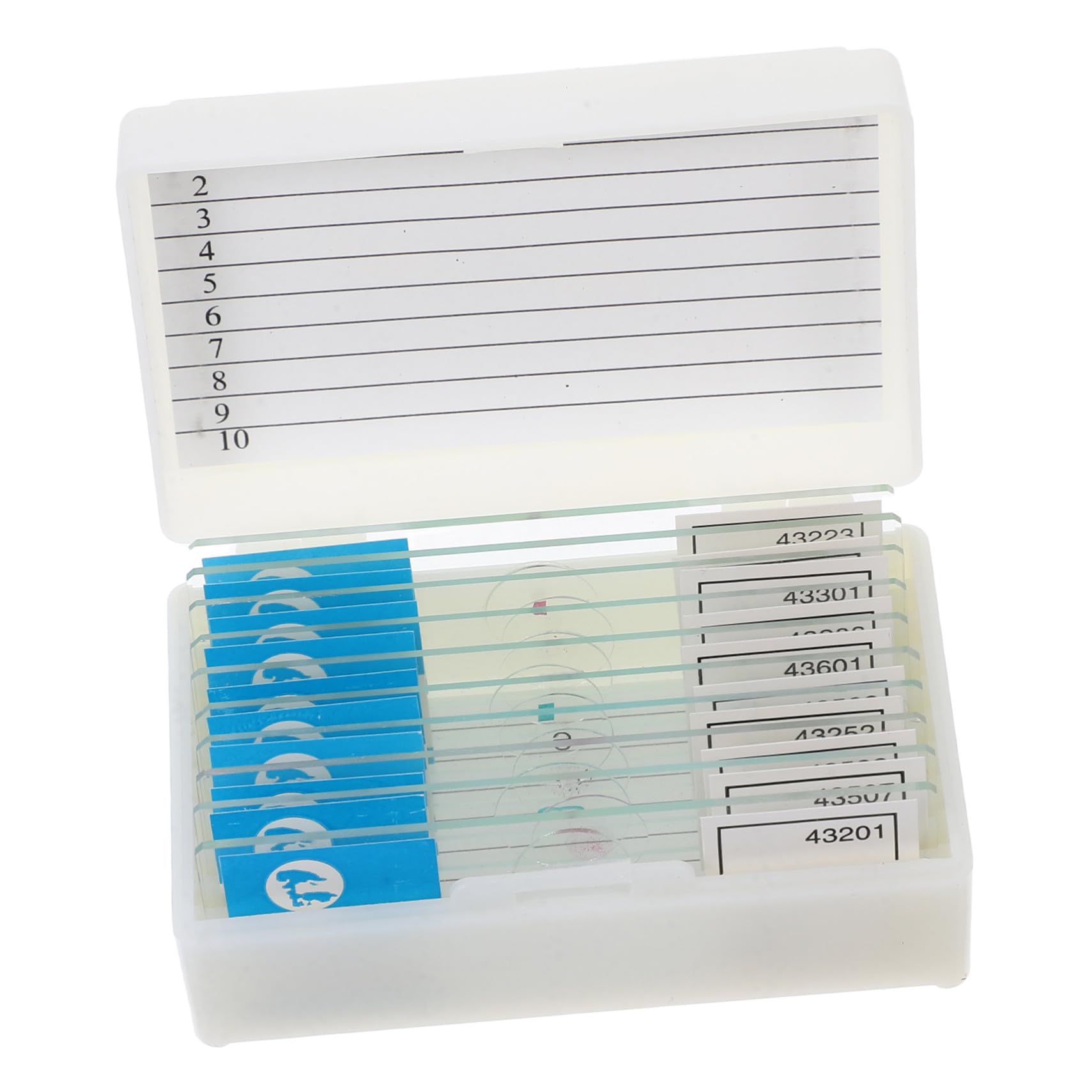 生物学教育用に準備された標本を含む顕微鏡ス 1 セット 学生およびホーム ル科学用の準備された顕微鏡..