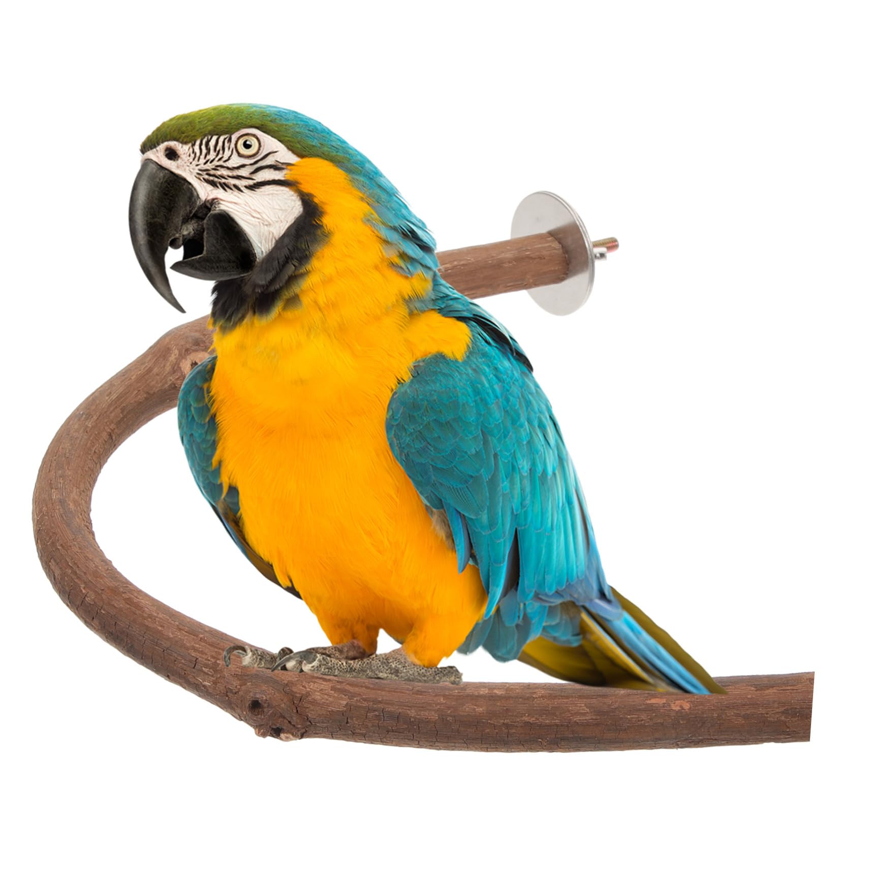 鸟磨爪棒 鸟ケージ 鸟用おもちゃ 鸟の爪研ぎ 運動用 オウム コカ向