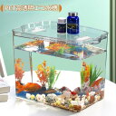 金魚鉢 プラスチック 透明 金魚 蓋付き 大きい 植物栽培 大容量 おしゃれ 防爆 小さな水族館 家庭用 小さな魚の水槽 飼育 鉢 魚飼育用品 水草育成 インテリア 安全材料 観賞魚用 (特大水槽 40*26.5*29CM)