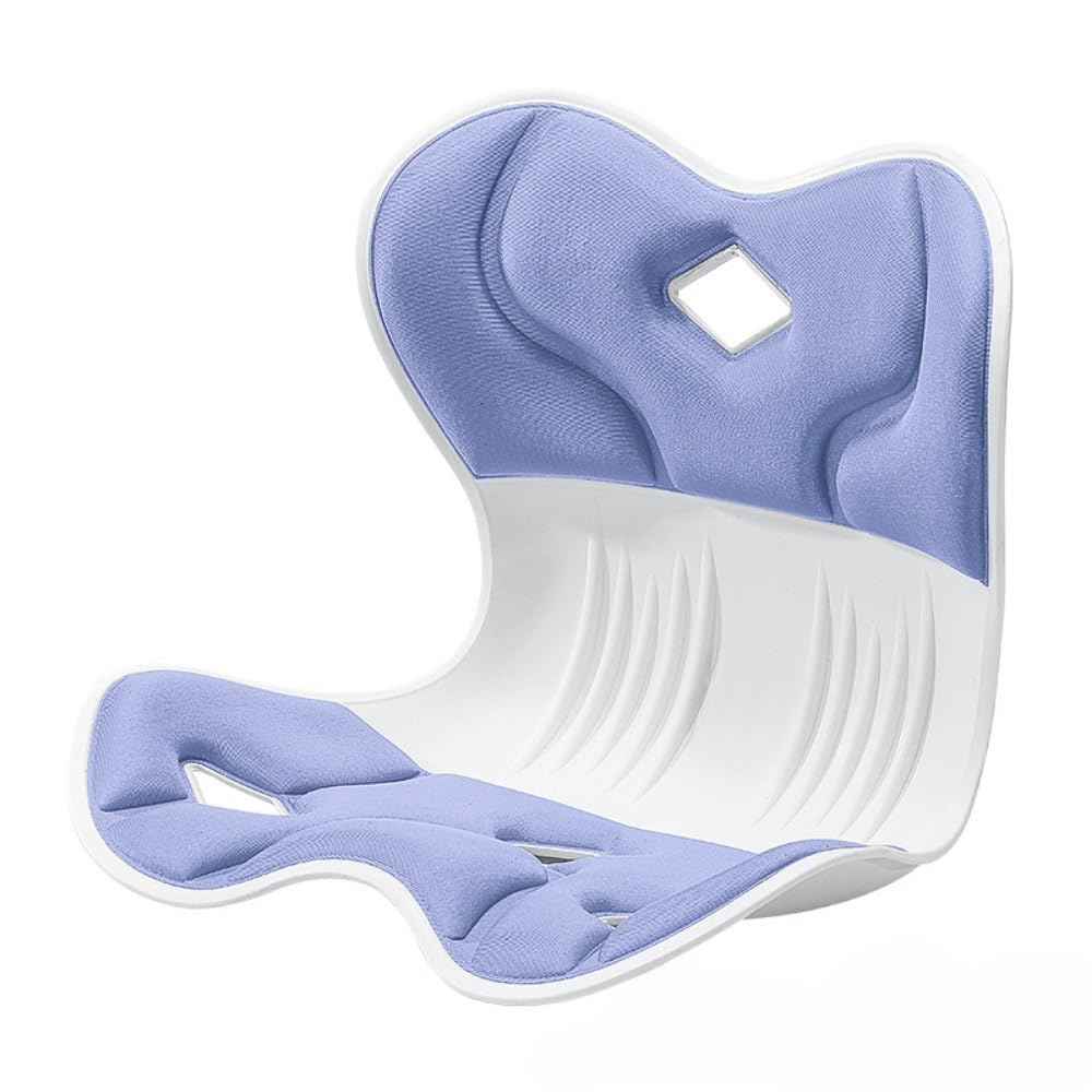 人間工学に基づいて設計された腰を保護するシートクッション、腰を保護する座椅子、長時間座った後の座り姿勢を修正するオフィス用背もたれクッション (グレー)