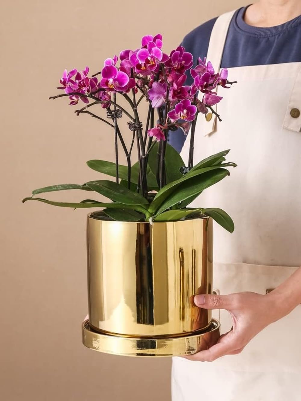 植木鉢-セラミックメッキ鉢-円形植木鉢- フラワーアレンジメント-家庭-結婚式-インテリア-アウトドアプ..