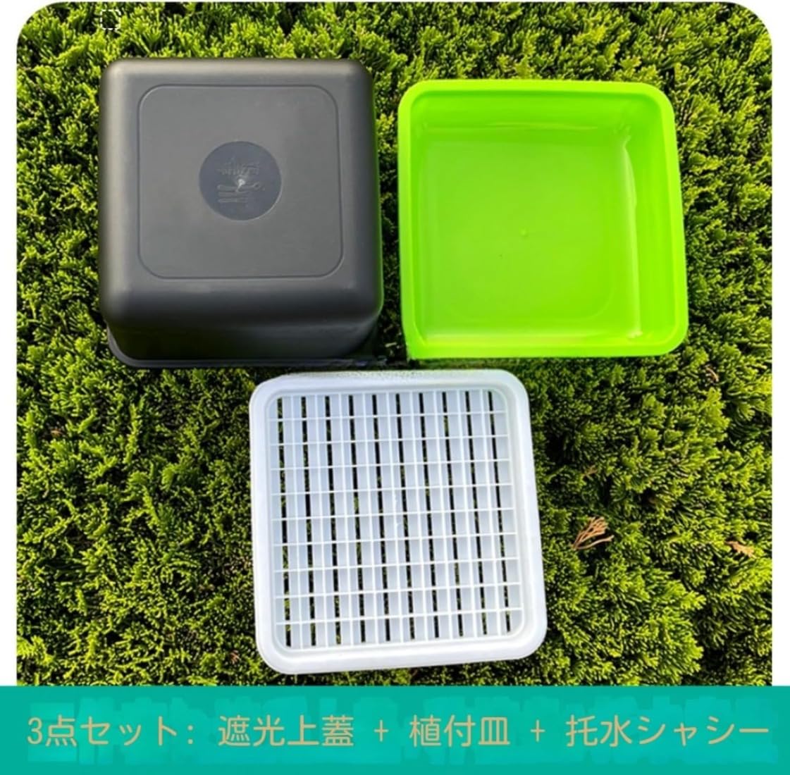 ブロッコリースプラウト 栽培キットスプラウト栽培容器 スプラウト 栽培キットブロッコリー スプラウト..