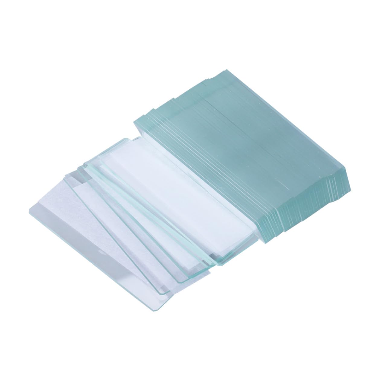 顕微鏡スライド 12枚 科学教育グレード標本 正方形カバーガラス 準備済みガラススライド