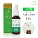 アクアプロポリス液体 30ml賞味期