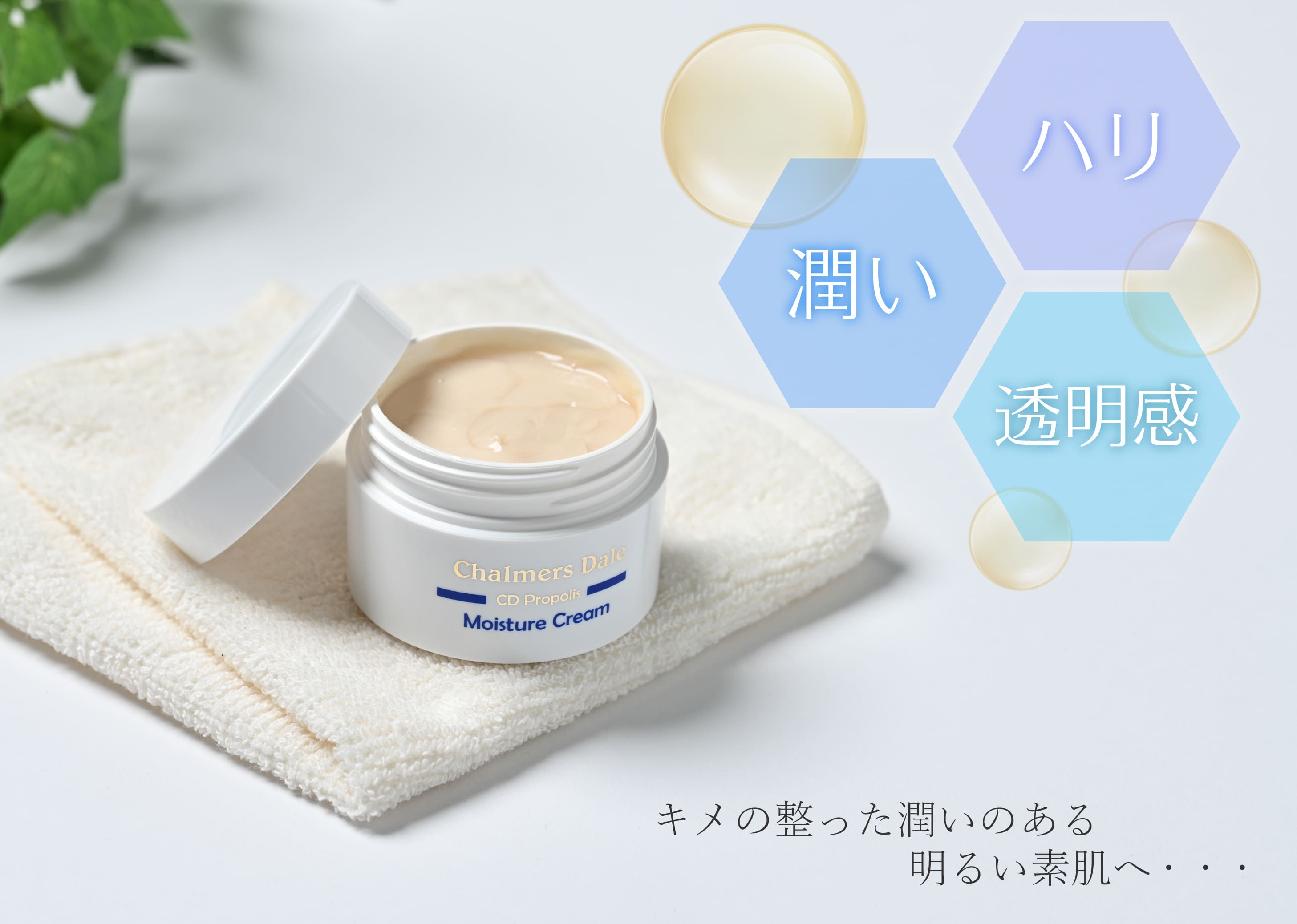 �ץ��ݥꥹ���꡼�� 50g