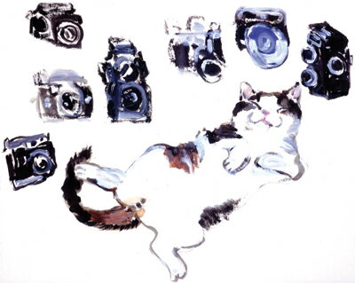 Rakuten - 久下 貴史 絵画・アート(版画額装品)/フェデリコとカメラ/ねこ・ネコ・猫