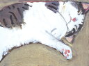 久下貴史 絵画・アート(版画額装品)/いつものように/ねこ・ネコ・猫