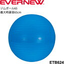 送料無料 バランスボール エバニュー EVERNEW ジムボール65 ポンプ付 最大時直径65cm 適応身長150cm以上/トレーニング・フィットネス 体幹 イ...