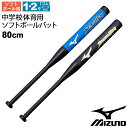 学校体育ソフトボール用バット 80cm ミドルバランス ミズノ mizuno/中学体育専用 中学生 ソフトボール 野球用品 教育用品 用具/1CJFS315【取...