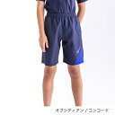 LbY XCpc j̎q qp iCL NIKE BOYS [YgNX 130-160cm/WjA qǂ ǂ XCEFA XC~O v[ j w ۈ牀 ct C r[`/1991008-010yԕisz