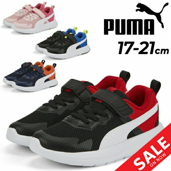 LbYV[Y Xj[J[ 17-21cm qC WjAXj[J[ LbYXj[J[ v[} PUMA G{ubV AC+PS/qǂ ǂ X|[eB JWA ^C j̎q ̎q ʊw w /386239