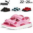 送料無料 プーマ ジュニア スポーツサンダル 22-25cm 子供靴/PUMA エボルブ サンダル JR/キッズ 子ども スポーティ カジュアル 男の子 女の子 サマーシューズ 靴 キャンプ レジャー ビーチ タウン くつ/390449