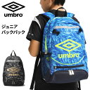 送料無料 アンブロ ジュニア サッカーバッグ リュック 子ども/UMBRO ジュニア フットボールパック/デイパック かばん スポーツバッグ はっ水 消臭 部活 クラブ ボール収納 鞄/UUDVJA01