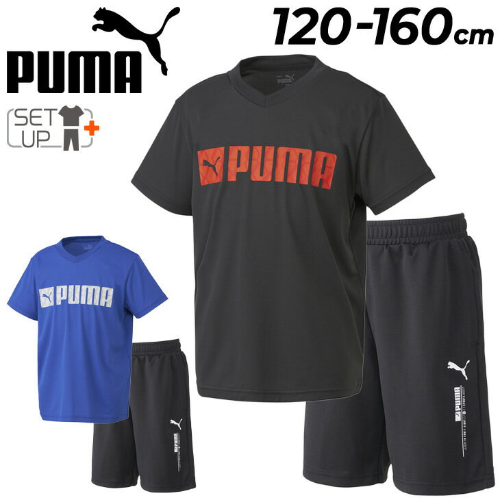  v[} LbY TVc n[tpc ㉺ 2_Zbg PUMA WjA 120-160cm q ZbgAbv X|[cEFA ㉺g qǂ JWA ǂ i /676151-676152