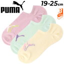 プーマ キッズ 靴下 3足組 ジュニア 子ども用 女の子 19-25cm PUMA スニーカー丈 3Pソックス 3足セット 子供 消臭加工 くつした 運動 スポーツ 学校 通学 女子 女児 スクール カジュアル ブランド くつした/4293134