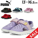 プーマ ベビー キッズ スポーツサンダル 13-16.5cm 子供靴/PUMA エボルブ サンダル AC インファント/子ども 男の子 女の子 スポーティ カジュアル 靴 水遊び レジャー デイリー くつ/389148【pu22pd】