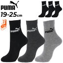 キッズ 靴下 3足セット 子ども用 プーマ PUMA 3Pソックス 3足組 19-25cm 子供 ジュニア スポーツ カジュアル 通学 小学生 学校 スクール くつした ブランド 贈り物 プレゼント/4293151