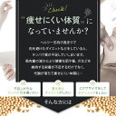 ソイプロテイン 女性 ダイエット　いぐさ プロテイン 大豆プロテイン DAYS SOY 抹茶ラテ風味 イ草パウダー配合 置き換え 自宅 男性 トレーニング サポート に 大豆たんぱく 健康維持に 美容に　コラーゲン配合/SoyMatcha250g【FD8pr】 3